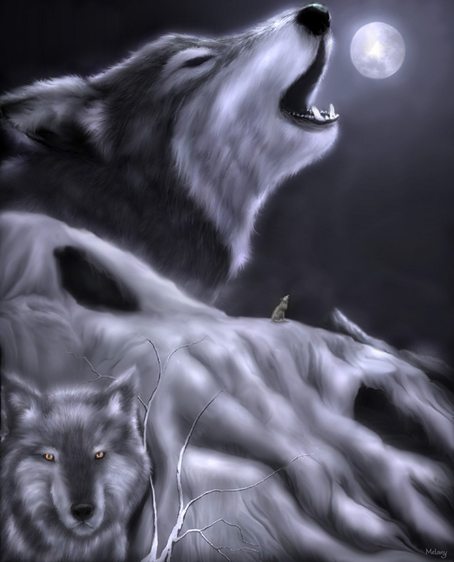 wolf.jpg